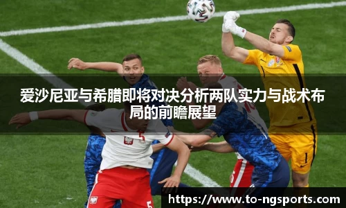 ng体育