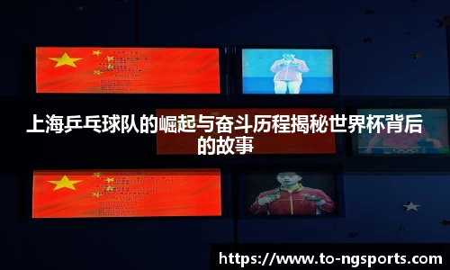 ng体育
